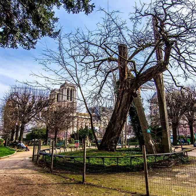 jeu de piste team building Notre-Dame et ses îles square viviani