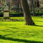 Parks and gardens in Paris: our selection for an event and going green