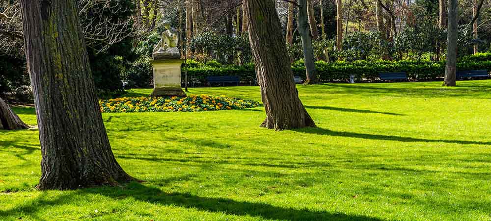 Parks and gardens in Paris: our selection for an event and going green