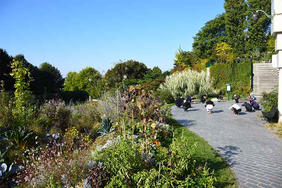 jardins à Paris parc de Belleville