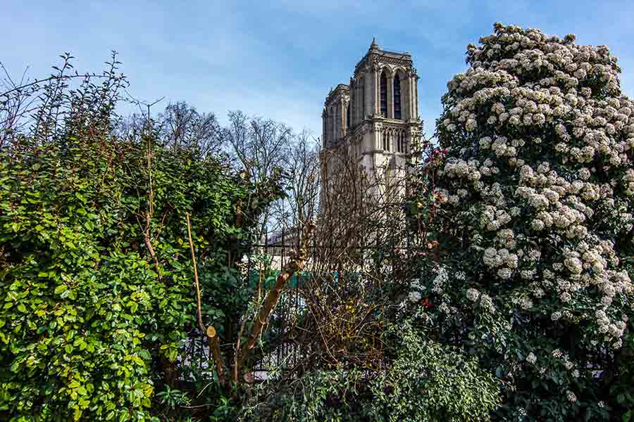 adult treasure hunt in Paris notre dame