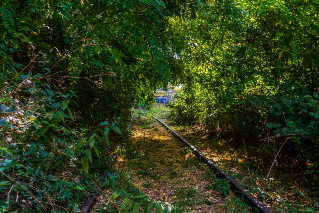 petite ceinture paris 14eme