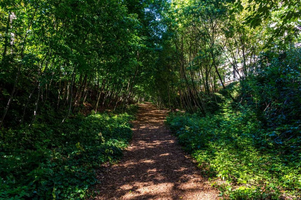 petite ceinture 16eme arrondissement