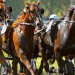 Corporate group dining in paris : Hippodrome de Vincennes for memorable horse races
