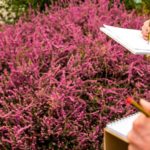 Croquis au cœur de Paris : team building artistique réveillez le Monet qui sommeille en vous