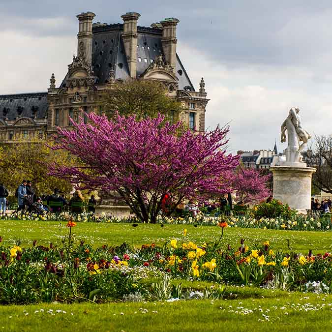 team building grand groupe vue jardin des Tuileries et Louvre