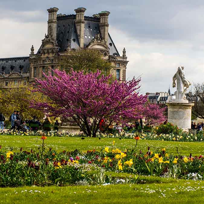 team building large group view on the Tuileries garden and the Louvre