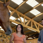 Equicoaching team building: communication at the heart of an original activity
