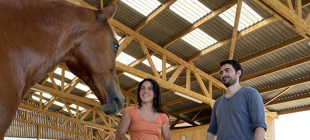 Team building equicoaching: la communication au cœur d’une activité insolite