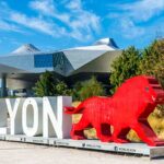 Team building activities in Lyon: discover our playful and original selection