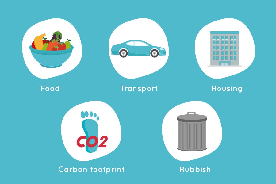 themes of the environmental escape game