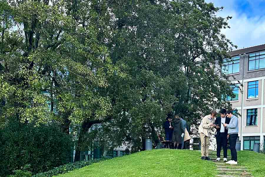 team building en extérieur dans les locaux de l'entreprise
