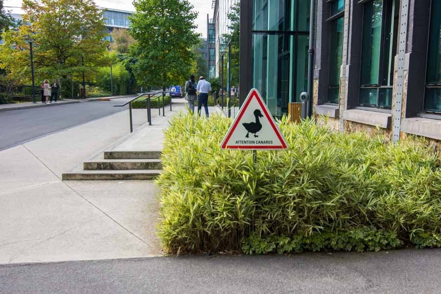 outdoor team building with a customisable scavenger hunt